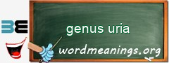 WordMeaning blackboard for genus uria